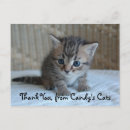 Search for charity thank you cards Cat