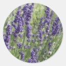Search for perfume stickers Aromatherapy