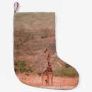Search for giraffe christmas stockings Wildlife