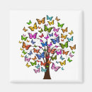 Search for butterfly tree magnets Insect
