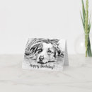 Search for australian shepherds cards Herding dogs