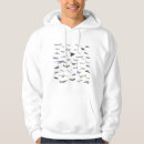 Search for airplane hoodies Air force