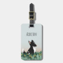 Recherche de petit chien accessoires Pour enfants