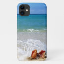 Search for blue tropical electronics Photography