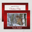 Search for grey wolf invitations Snow