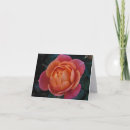 Search for coral photography Rose