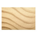 Search for photo backdrop posters Beach