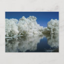 Recherche de masque bleu cartes postales Chat