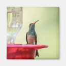 Recherche de animal cases magnets Nature