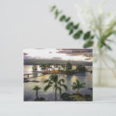 Recherche de cocotier cartes postales Arbres