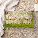 Search for bunny rabbit pillows Funny