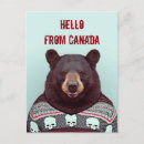 Search for bear postcards Animals