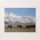 Search for bison puzzles Snow