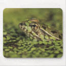 Recherche de frog tapis souris Nature