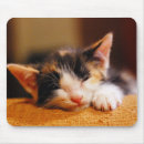 Search for eyes closed mousepads Baby animals
