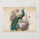 Search for cages postcards Birds