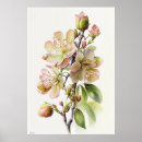 Recherche de fleur de pomme art Pour tous