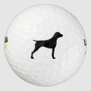 Search for german shorthaired pointer golf equipment Gsp