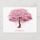 Recherche de fleur de sakura cartes postales Fleurs de cerisier
