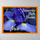 Search for purple iris art posters Nature
