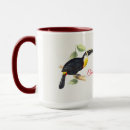 Search for toucan mugs South america