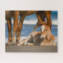 Search for wild horse puzzles Foal