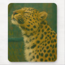 Recherche de leopard tapis souris Aquarelle