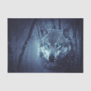 Search for wolf tissue paper Wild animal