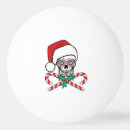 Search for christmas ping pong balls Holly