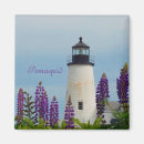 Recherche de rocheuse magnets Usa
