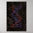 Search for genome posters Biology