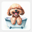Search for cute poodle stickers Watercolor