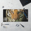 Recherche de dangereux tapis souris Animal