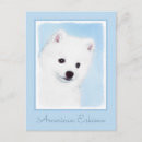 Search for spitz stamps postcards Puppy