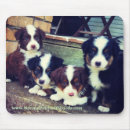 Recherche de berg mousepads Chiot