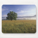Search for cades cove electronics National park
