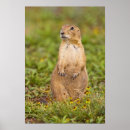 Recherche de grande prairie posters Brun