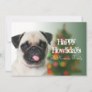 Search for photography christmas cards Animal body part