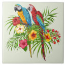 Recherche de perroquet carreaux Botanique