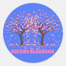 Search for flowering trees labels Cherry blossoms