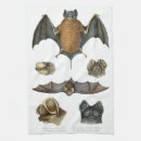 Search for vintage halloween tea towels Bat