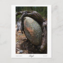 Search for tangle postcards Trees