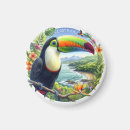 Search for costa magnets Paradise