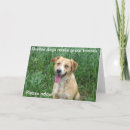 Search for shelters cards Dogs