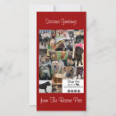 Search for animal rescue christmas cards Xmas