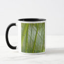 Search for sunlight mugs Beauty in nature