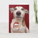 Search for jack russell terrier christmas cards Cute