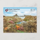 Search for pacific postcards National park
