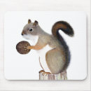 Recherche de crayon tapis souris Forêt