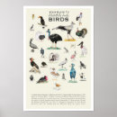 Search for guides posters Wildlife